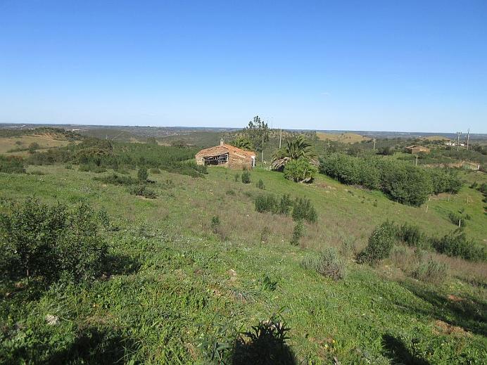 house with land Santana da Serra, Ourique